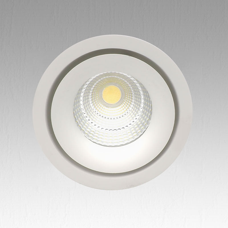 SPOT ROND LED 30W 3000K D020214