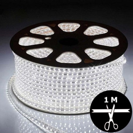 RUBAN LED EKOLED 5050-60-8MM- 220V 6500K